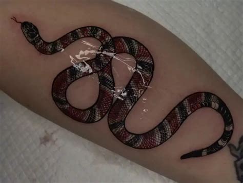 gucci snake tatto|50 Best Snake Tattoo Design Ideas & Meaning .